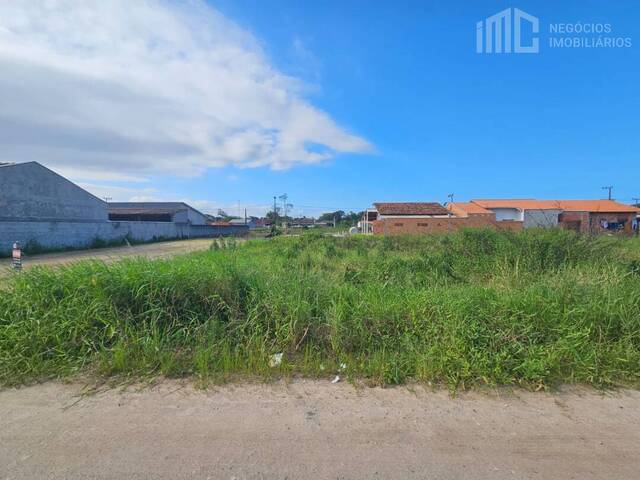 Terreno para Venda em Balneário Barra do Sul - 2