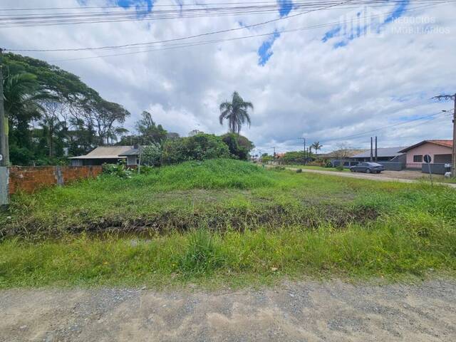 Terreno para Venda em Balneário Barra do Sul - 4