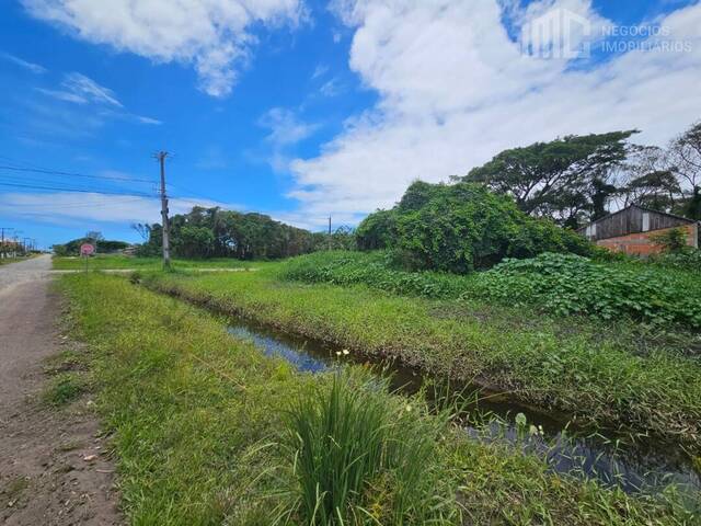 Terreno para Venda em Balneário Barra do Sul - 5
