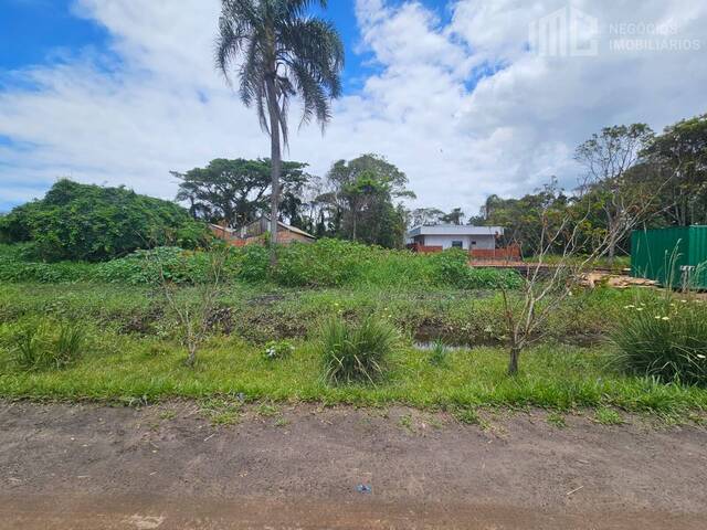 Terreno para Venda em Balneário Barra do Sul - 4
