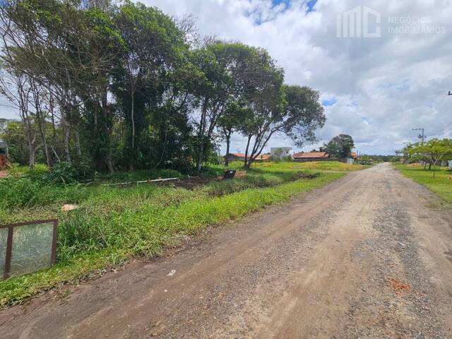 Terreno para Venda em Balneário Barra do Sul - 3