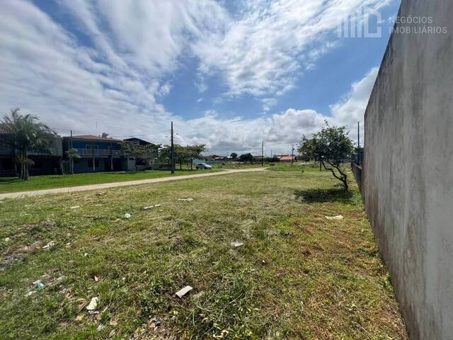 Terreno para Venda em Balneário Barra do Sul - 4