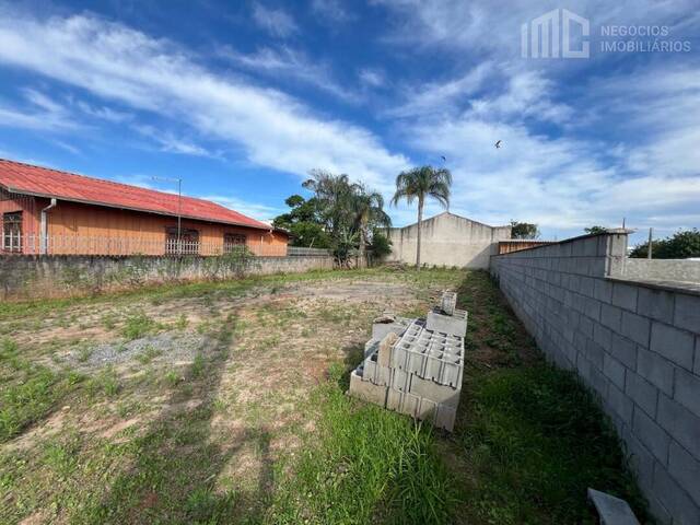 Terreno para Venda em Balneário Barra do Sul - 3