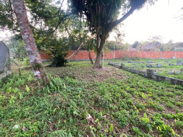 Terreno para Venda em Balneário Barra do Sul - 5