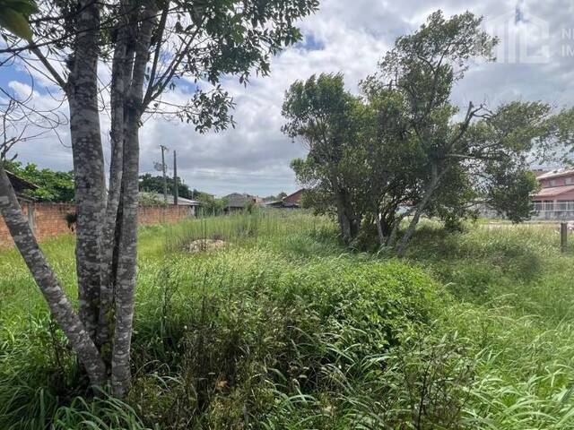Terreno para Venda em Balneário Barra do Sul - 5