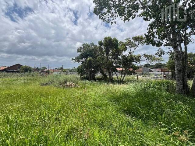 Terreno para Venda em Balneário Barra do Sul - 4