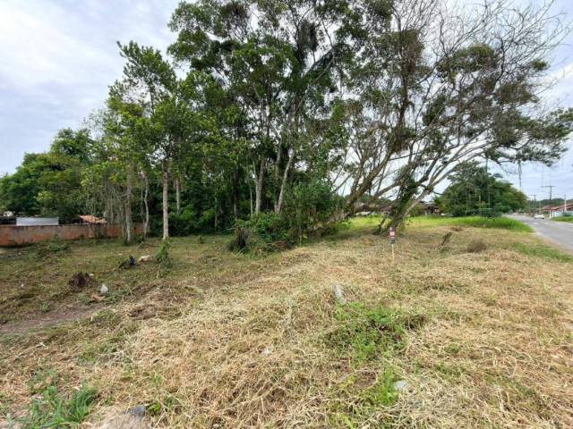 Área para Venda em Balneário Barra do Sul - 3