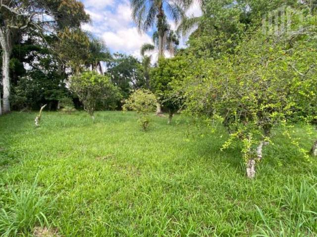Área para Venda em Balneário Barra do Sul - 5