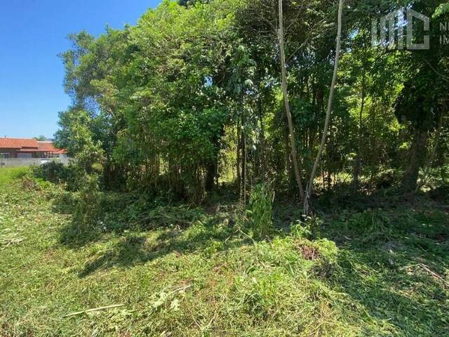 Terreno para Venda em Balneário Barra do Sul - 2