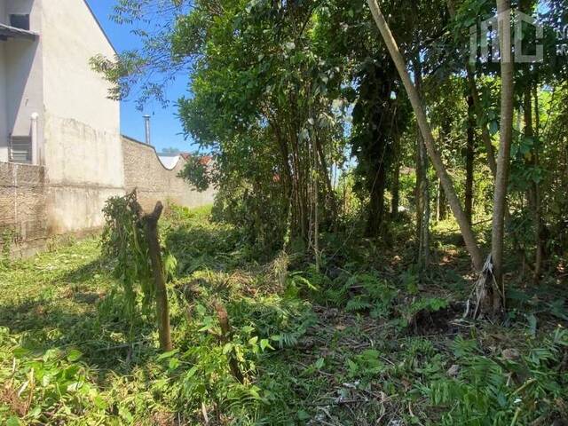 Terreno para Venda em Balneário Barra do Sul - 3