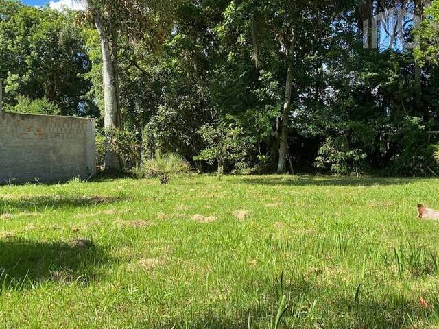 Terreno para Venda em Balneário Barra do Sul - 4