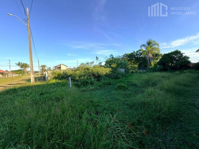 Área para Venda em Balneário Barra do Sul - 2