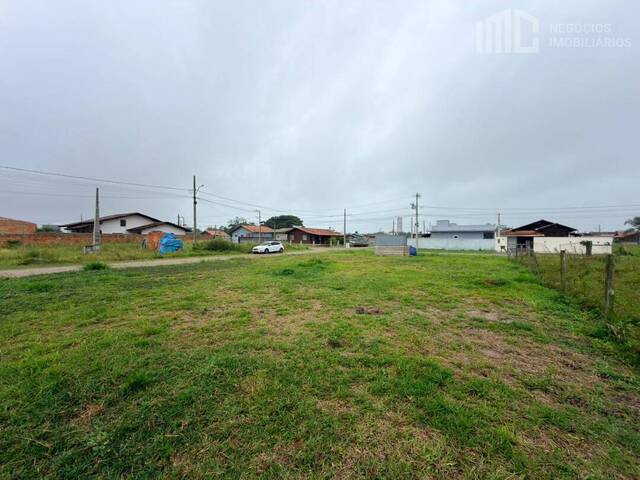 Terreno para Venda em Balneário Barra do Sul - 2