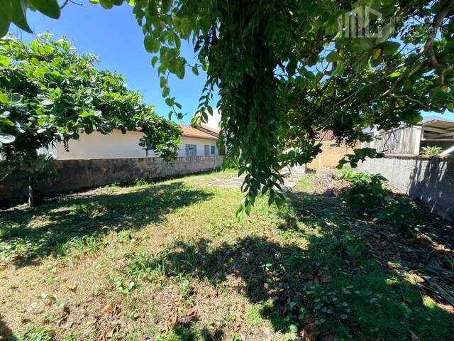 Terreno para Venda em Balneário Barra do Sul - 3
