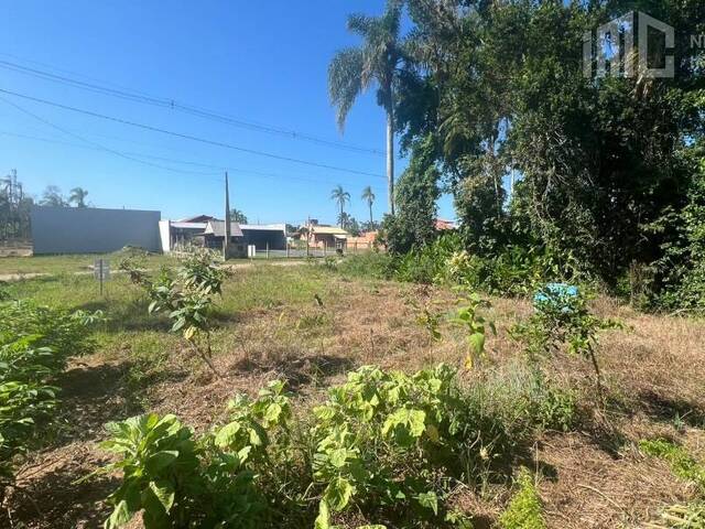 Terreno para Venda em Balneário Barra do Sul - 4
