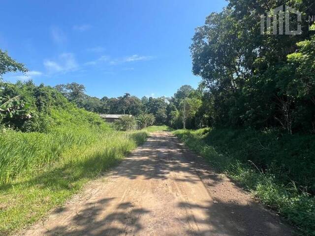 Terreno para Venda em Balneário Barra do Sul - 5