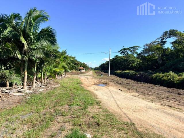Terreno para Venda em Balneário Barra do Sul - 5