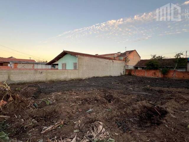 Terreno para Venda em Balneário Barra do Sul - 3