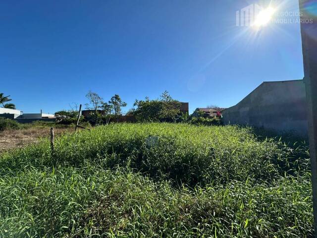 #2149 - Terreno para Venda em Balneário Barra do Sul - SC - 2