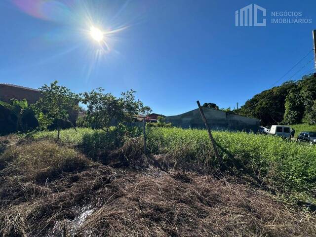 #2149 - Terreno para Venda em Balneário Barra do Sul - SC - 3