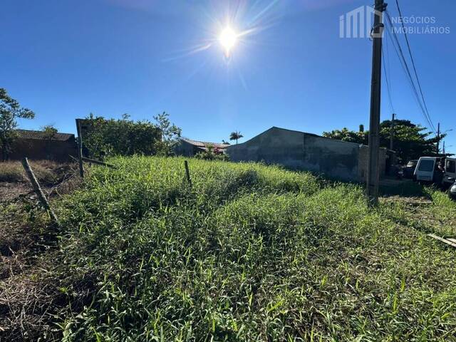 #2149 - Terreno para Venda em Balneário Barra do Sul - SC - 1