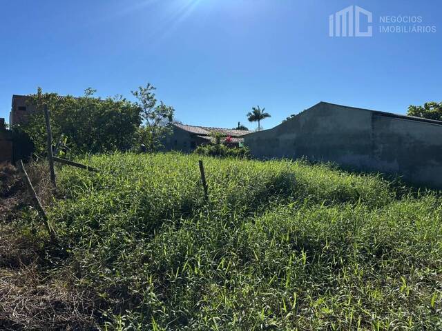 Terreno para Venda em Balneário Barra do Sul - 4