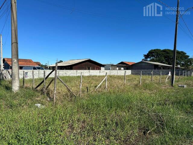 Área para Venda em Balneário Barra do Sul - 2