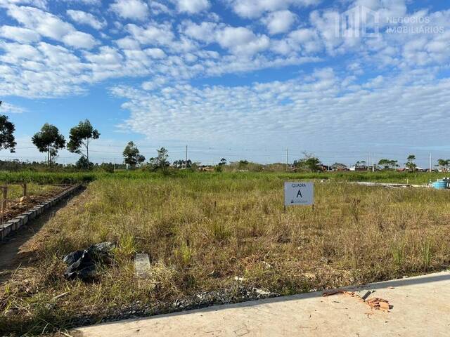 Terreno para Venda em Araquari - 5