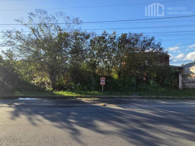 Terreno para Venda em Balneário Barra do Sul - 3
