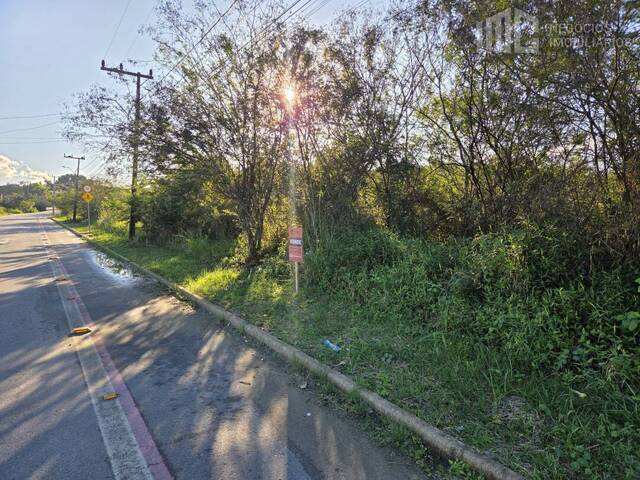 Terreno para Venda em Balneário Barra do Sul - 5
