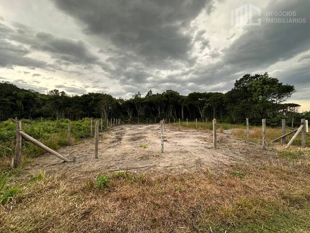 Terreno para Venda em Balneário Barra do Sul - 4