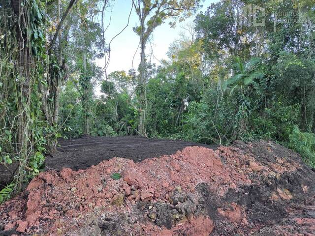 Terreno para Venda em Balneário Barra do Sul - 2