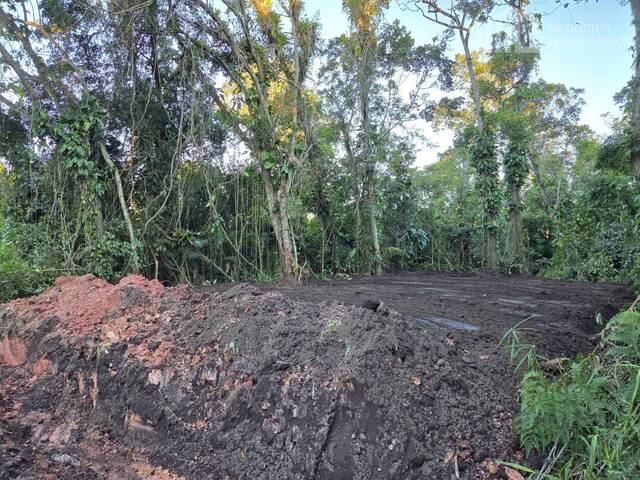 Terreno para Venda em Balneário Barra do Sul - 3