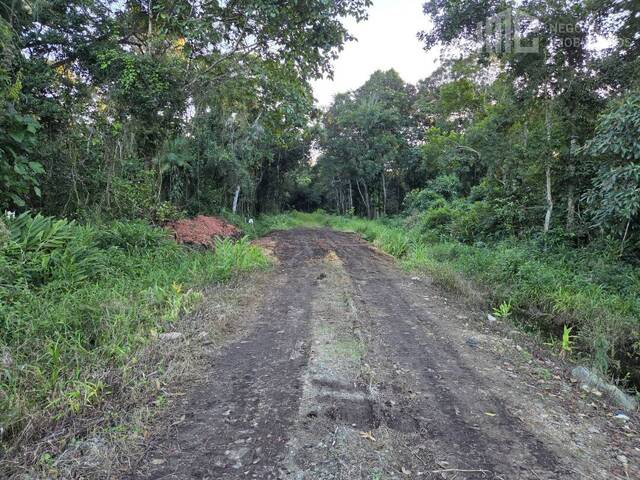 Terreno para Venda em Balneário Barra do Sul - 5