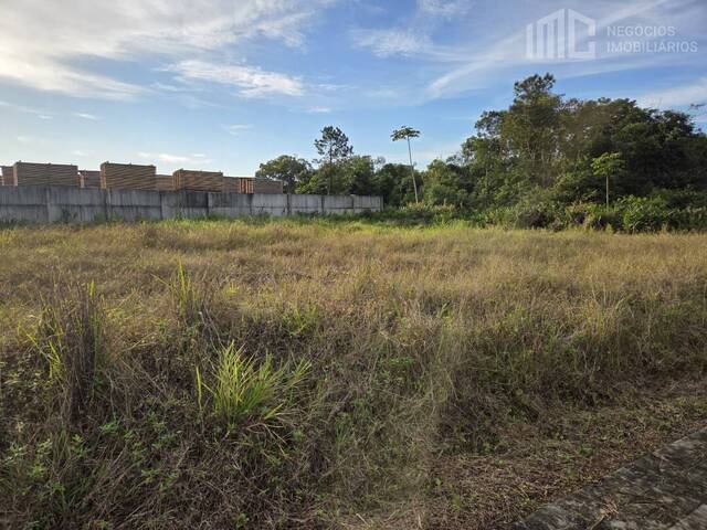Terreno para Venda em Araquari - 3