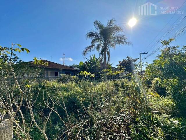 Terreno para Venda em Balneário Barra do Sul - 3