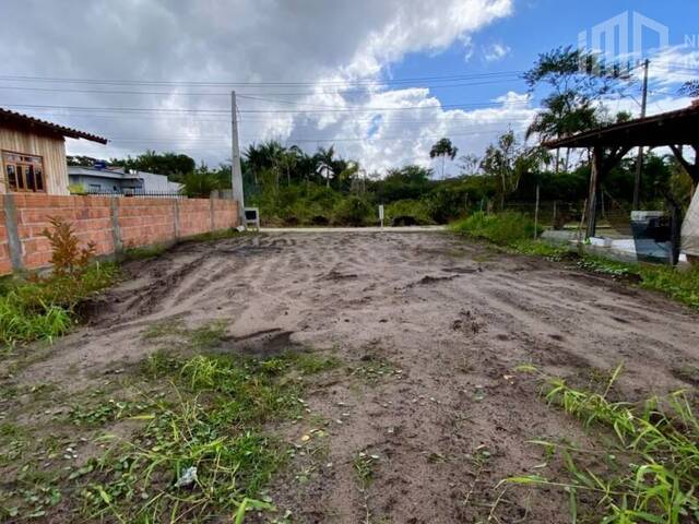 Terreno para Venda em Balneário Barra do Sul - 5
