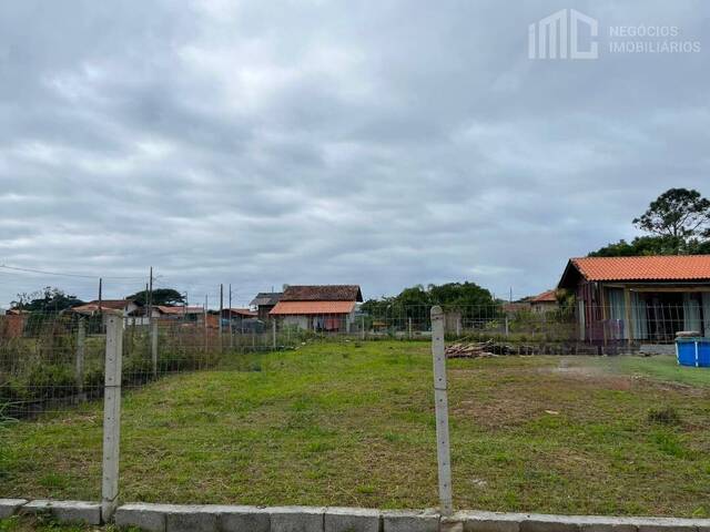 Terreno para Venda em Balneário Barra do Sul - 3