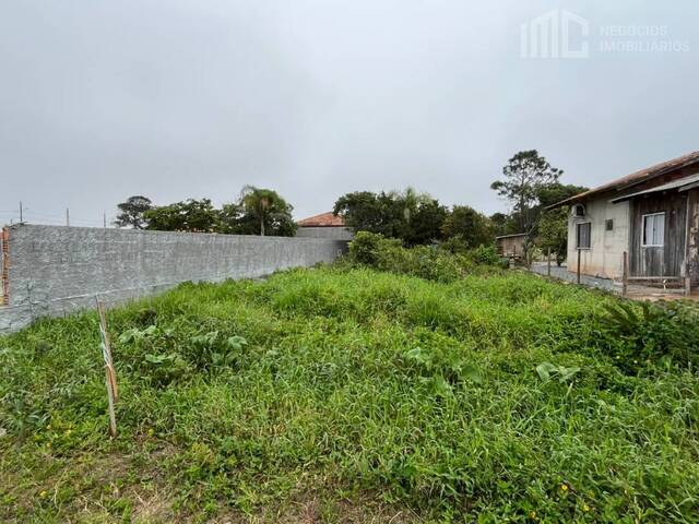 #2465 - Terreno para Venda em Balneário Barra do Sul - SC