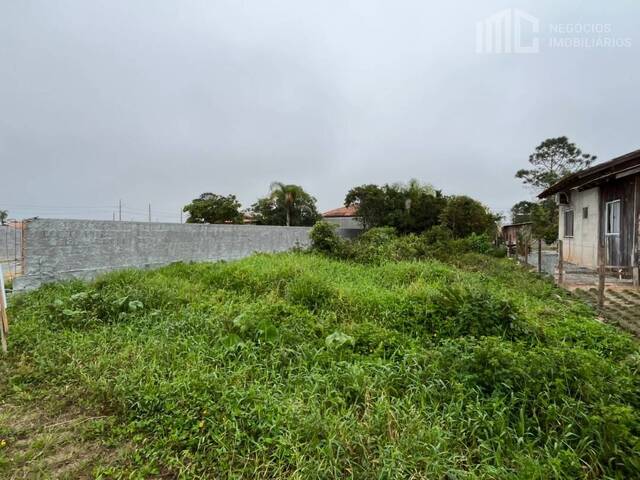 #2465 - Terreno para Venda em Balneário Barra do Sul - SC
