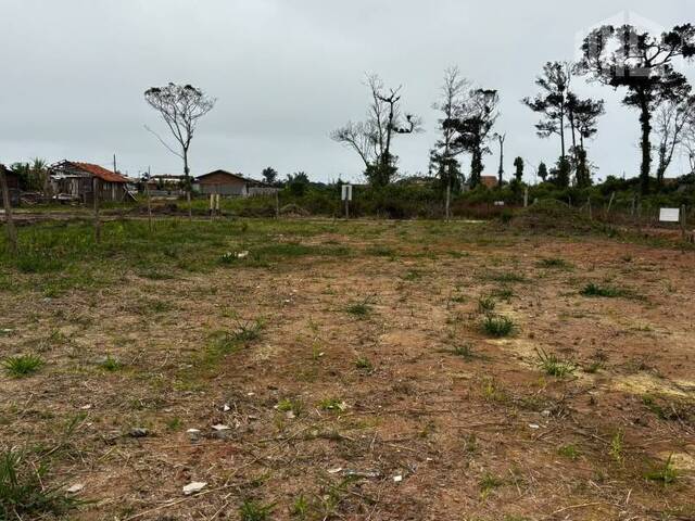 Terreno para Venda em Balneário Barra do Sul - 5