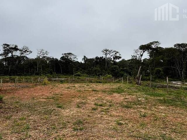 Terreno para Venda em Balneário Barra do Sul - 4