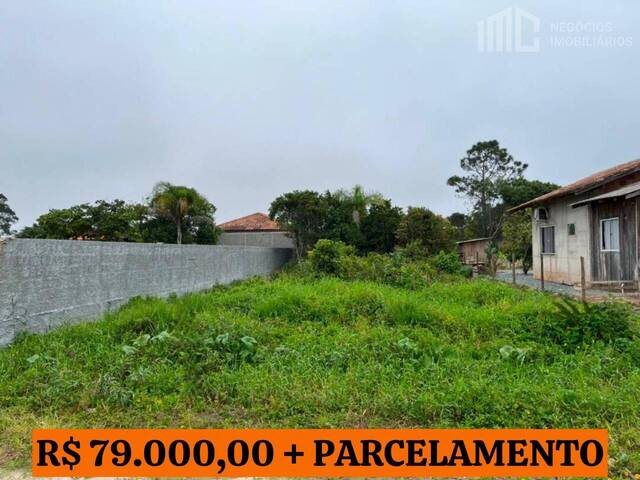 #2465 - Terreno para Venda em Balneário Barra do Sul - SC - 1