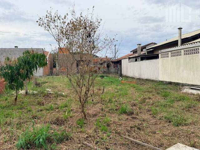 Terreno para Venda em Balneário Barra do Sul - 4