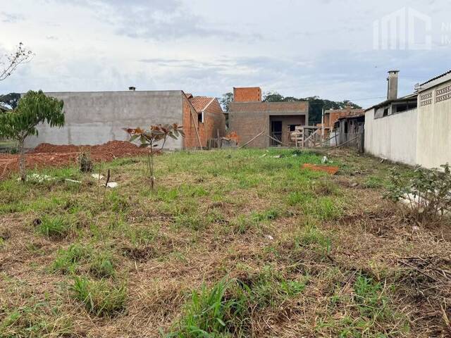 Terreno para Venda em Balneário Barra do Sul - 3