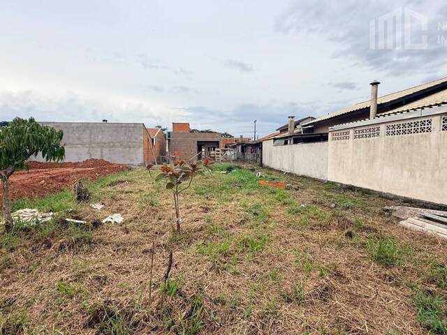 Terreno para Venda em Balneário Barra do Sul - 2