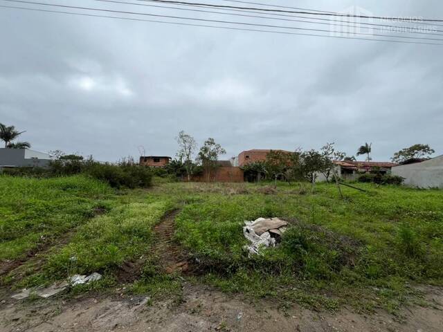 #2476 - Terreno para Venda em Balneário Barra do Sul - SC - 2