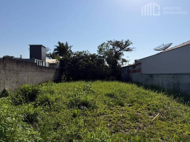 #2480 - Terreno para Venda em Balneário Barra do Sul - SC - 3