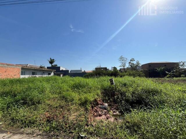 #2482 - Terreno para Venda em Balneário Barra do Sul - SC - 2