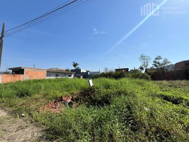 #2482 - Terreno para Venda em Balneário Barra do Sul - SC - 3